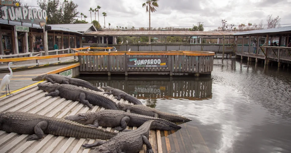Guía de Viaje de Orlando. Las Mejores Atracciones, Comida y Experiencias en Orlando, FL