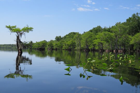 Tour image 10