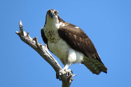Tour image 11
