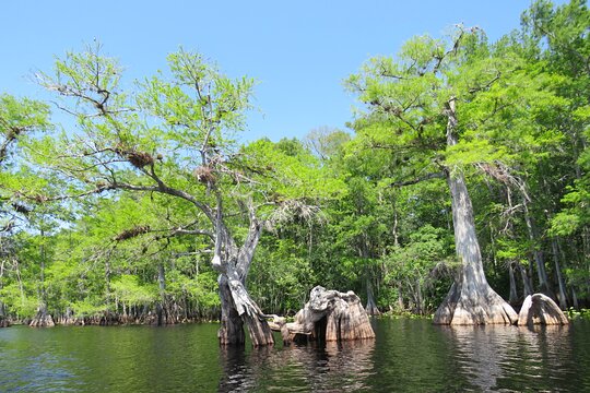 Tour image 13