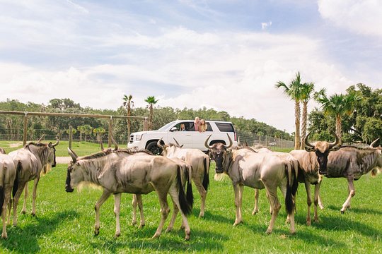 Tour image 3