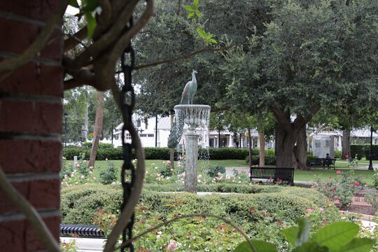 Tour image 7
