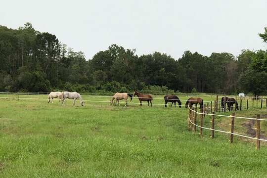 Tour image 9