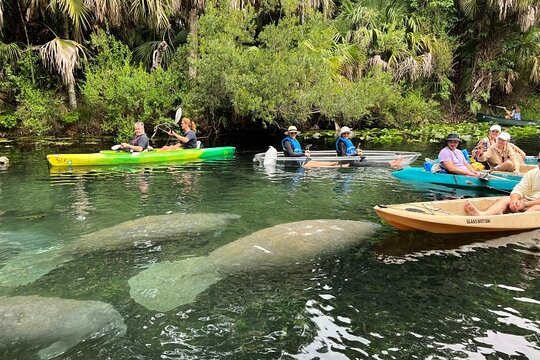 Tour image 7